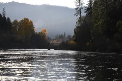 DSC_0294 (Large).JPG